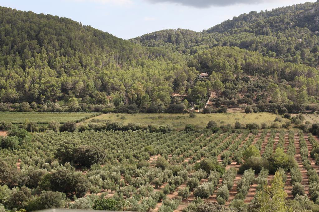 Agroturismo Can Torna Ag178 Vendégház Esporles Kültér fotó