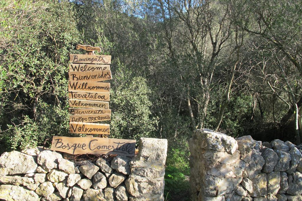 Agroturismo Can Torna Ag178 Esporles Kültér fotó