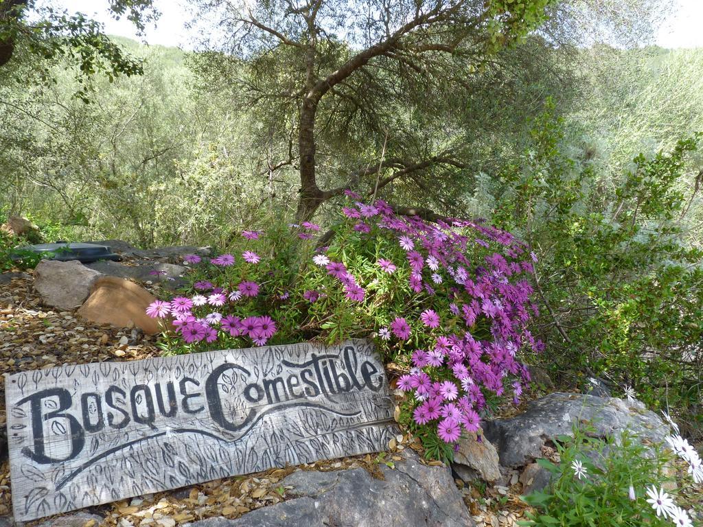 Agroturismo Can Torna Ag178 Esporles Kültér fotó