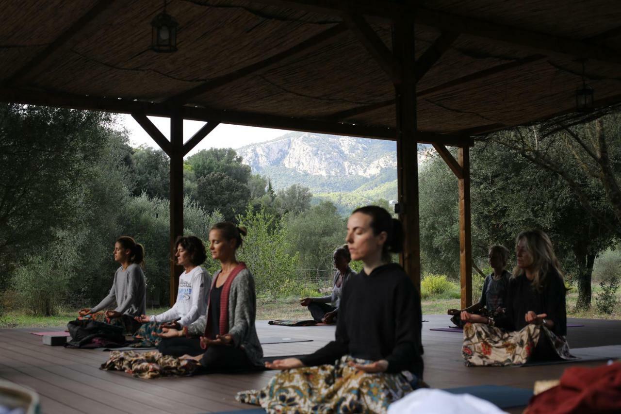 Agroturismo Can Torna Ag178 Esporles Kültér fotó